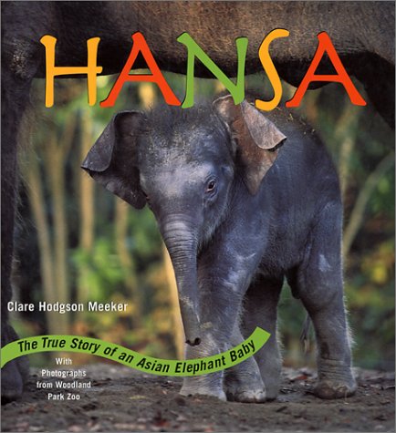 Hansa