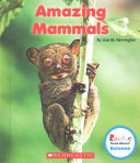 Amazing Mammals