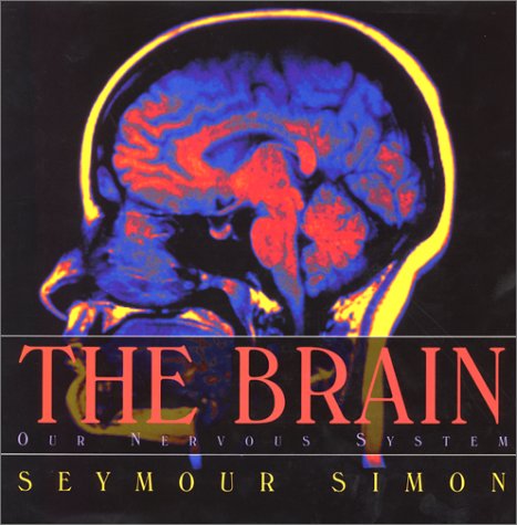 The brain