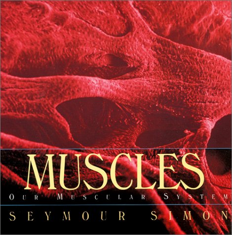 Muscles