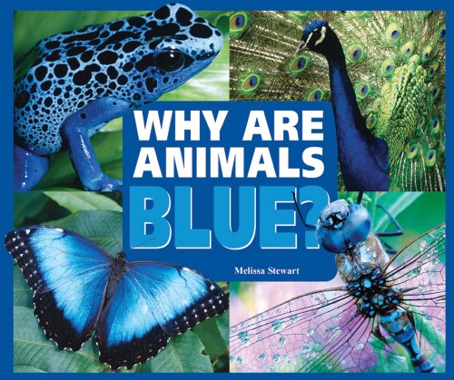 Why Are Animals Blue?