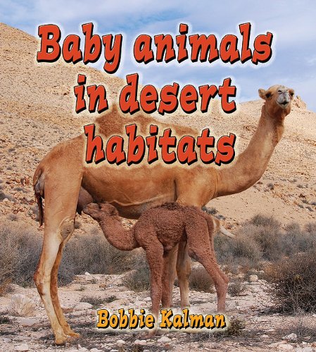 Baby Animals in Desert Habitats Baby Animals in Forest Habitats Baby Animals in Grassland Habitats Baby Animals in Mountain Habitats Baby Animals in Ocean Habitats Baby Animals in Wetland Habitats