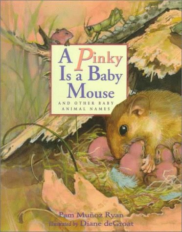 A pinky is a baby mouse, and other baby animal names