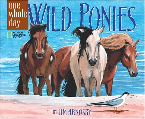 Wild Ponies