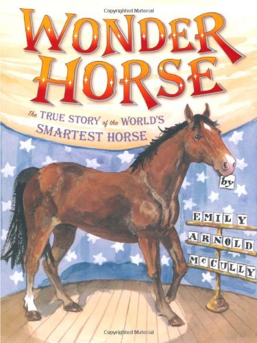 Wonder Horse