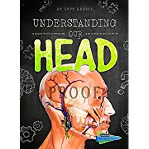 Understanding Our Head