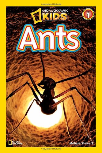 Ants