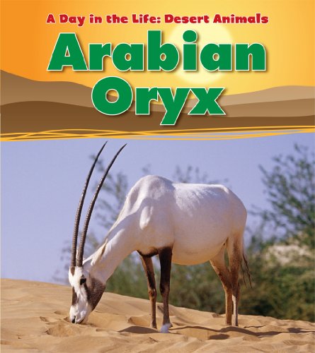 Arabian Oryx Fennec Fox Meerkat Scorpion