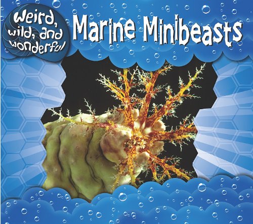 MARINE MINIBEASTS