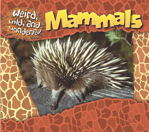 MAMMALS