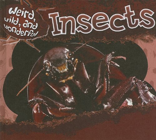 INSECTS
