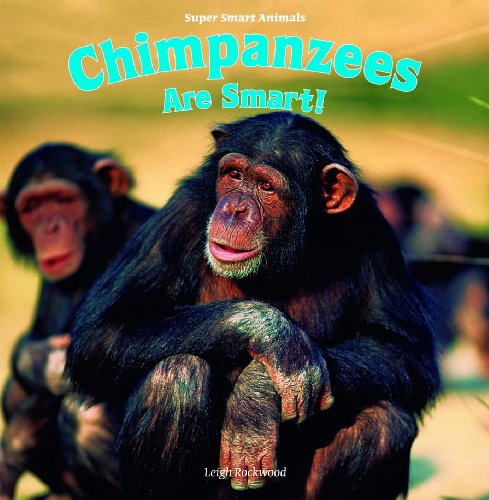 Chimpanzees Are Smart! (Super Smart Animals)