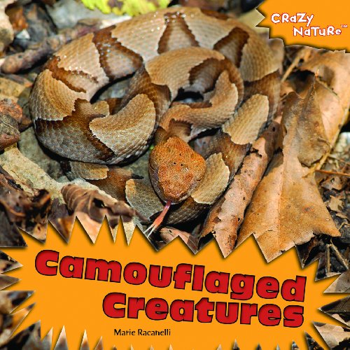 CAMOUFLAGED CREATURES