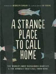 A Strange Place to Call Home