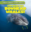 200-Year-Old Bowhead Whales!