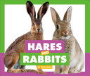 Hares and Rabbits