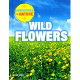 Wild Flowers