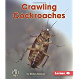 Crawling Cockroaches