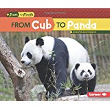 From Cub to Panda