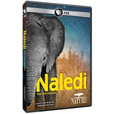 Naledi