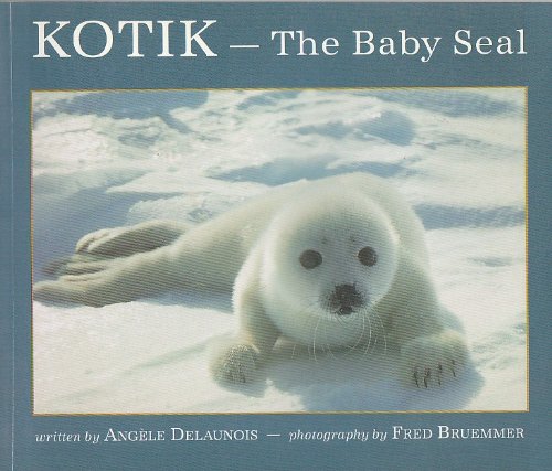 Kotik