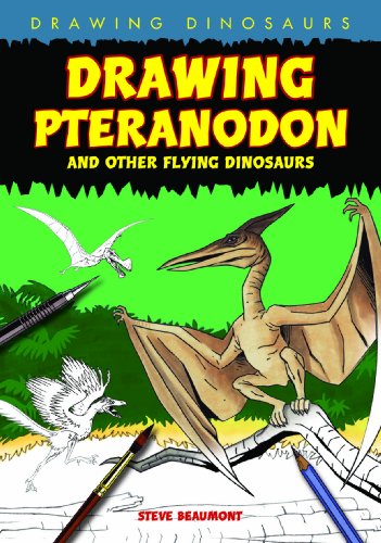 DRAWING PTERANODON & OTHER FLY