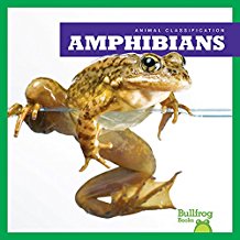 Amphibians