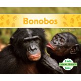 Bonobos