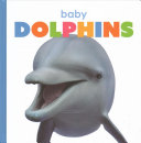 Baby Dolphins