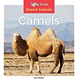 Camels