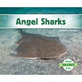 Angel Sharks