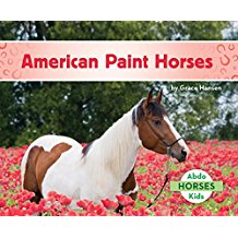 American Paint Horses