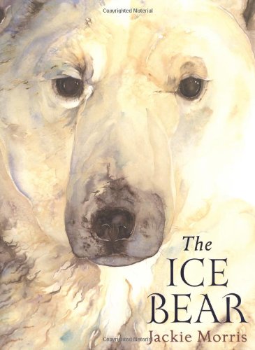 The Ice Bear