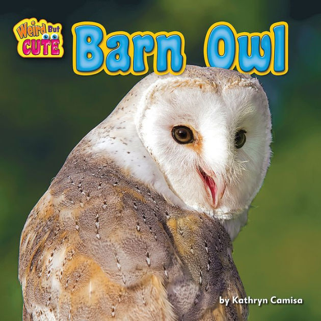 Barn Owl